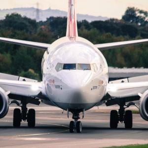 Turkish Airlines Boeing 737-800 1000th 737 Livery
